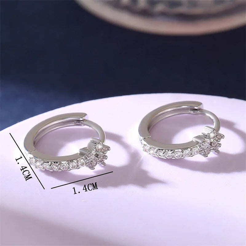 Zircon Star Stainless Steel Hoop Earrings