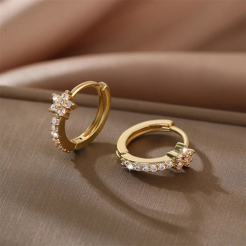 Zircon Star Stainless Steel Hoop Earrings