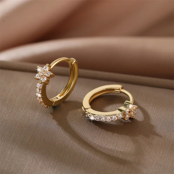 Zircon Star Stainless Steel Hoop Earrings