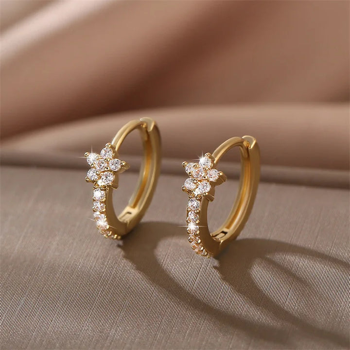 Zircon Star Stainless Steel Hoop Earrings