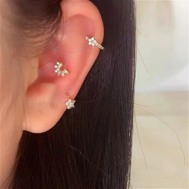 Zircon Star Stainless Steel Hoop Earrings