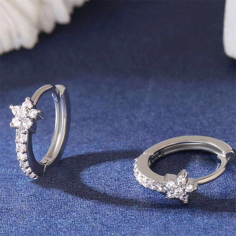 Zircon Star Stainless Steel Hoop Earrings
